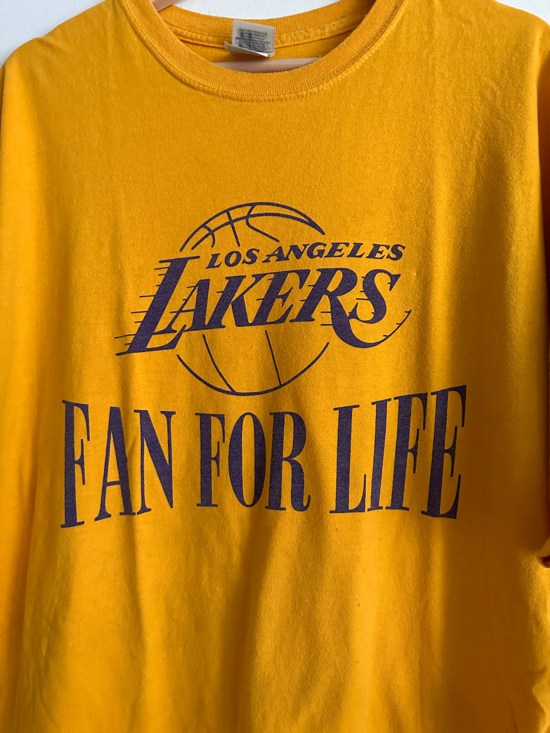 2010 Los Angeles Lakers “Fan For Life”