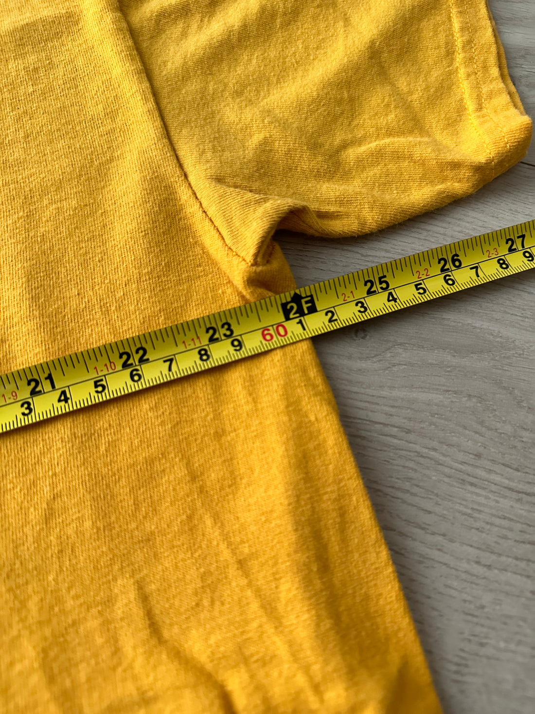 2010 Los Angeles Lakers “Fan For Life”