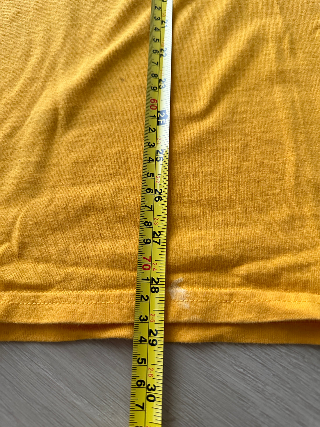 2010 Los Angeles Lakers “Fan For Life”