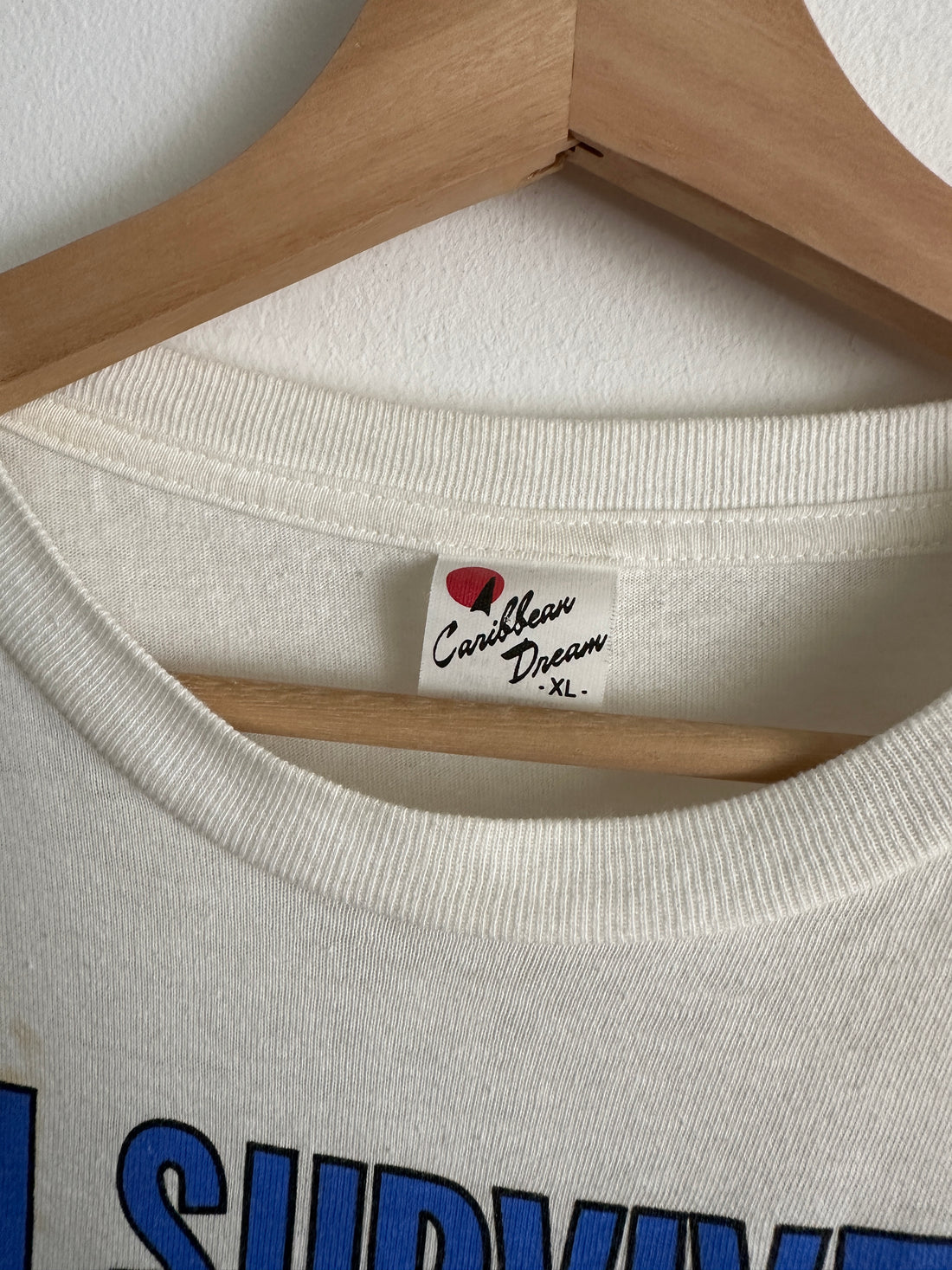 Vintage 1994 I Survived Hurricane Andrew Graphic Tee