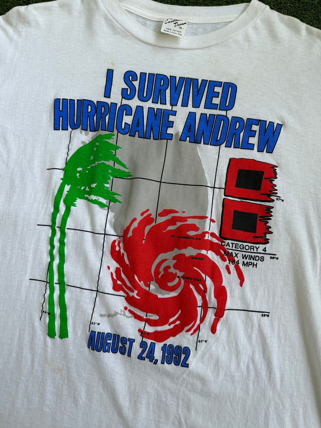 Vintage 1994 I Survived Hurricane Andrew Graphic Tee