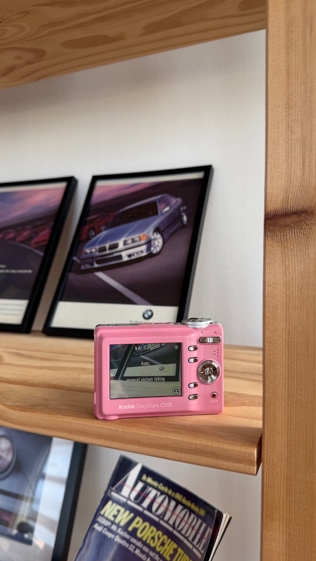 Kodak EasyShare C513 pink digital camera